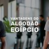 banner egipcio