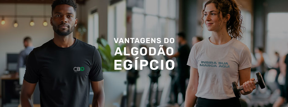 banner egipcio